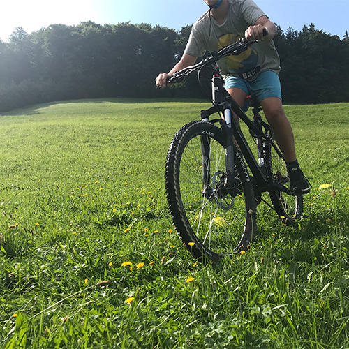 Mountainbiken Feierwerk Boom