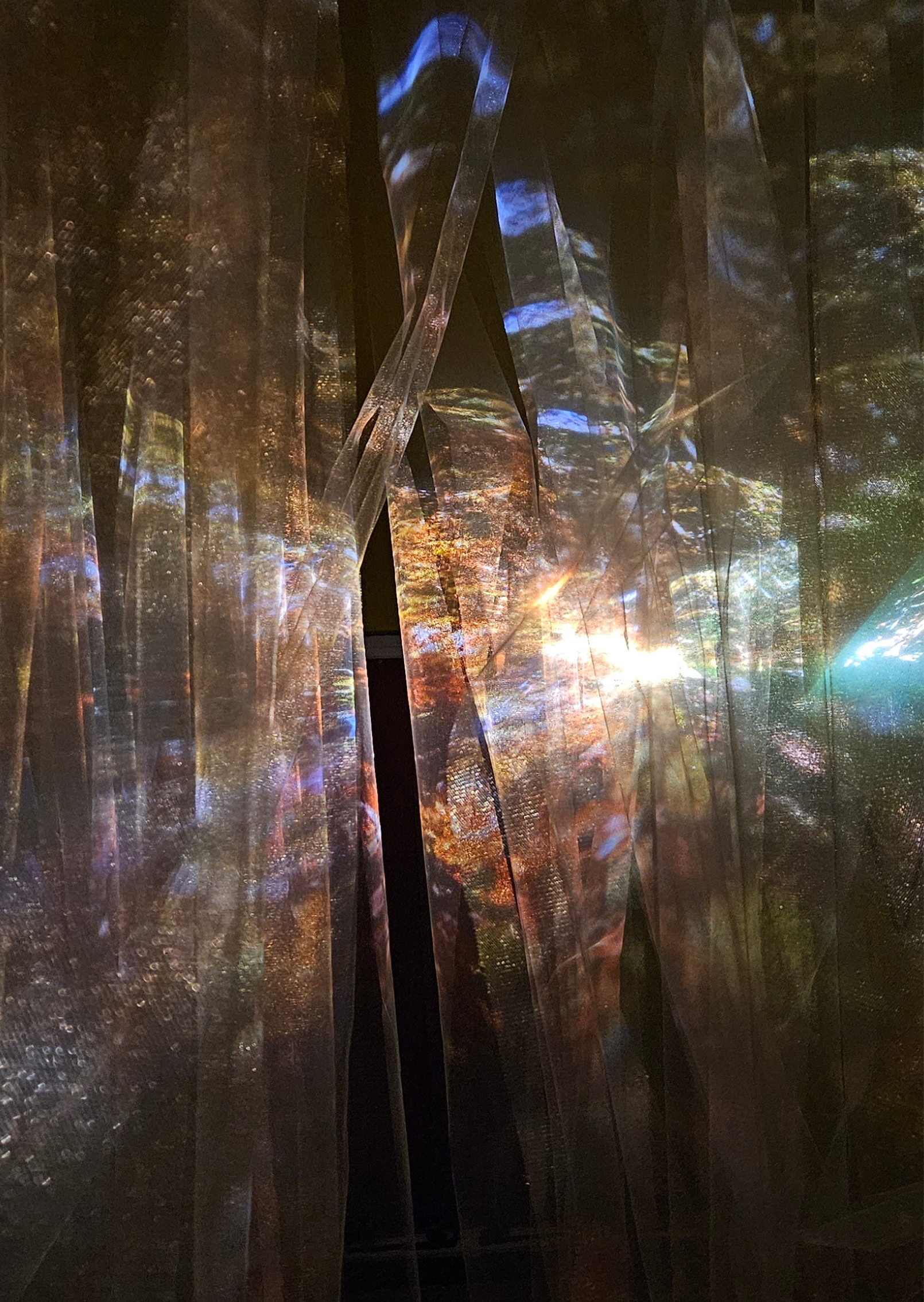 BIOPHILIA | Ausstellung