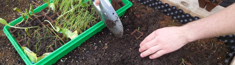 Feierwerk Trafixx Garten
