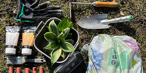 Aus alt wird Blumentopf in der Feierwerk Südpolstation
