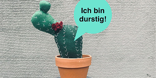 Die flüsternde Pflanze in der Feierwerk Südpolstation