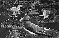 Do 16.11.2023 BLACK RAT CONCERTS - BLACK RAT CONCERT #42