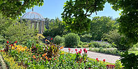 Mi 29.05.2024 PFINGSTFERIENPROGRAMM 2024 - FERIENAUSFLUG IN DEN BOTANISCHEN GARTEN MIT MUSEUMSBESUCH