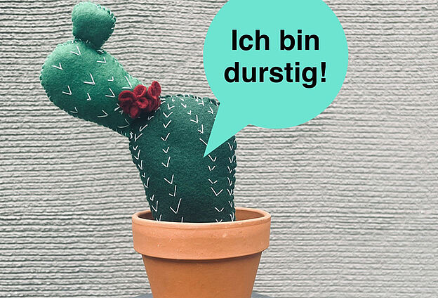 DIE FLÜSTERNDE PFLANZE
