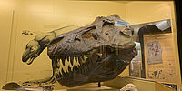 Sa 13.05.2023  - AUSFLUG INS MUSEUM MENSCH UND NATUR für Kinder von 6 – 12 Jahren