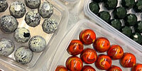 Sa 10.05.2025 WORKSHOPS & SPECIALS - PRALINEN HERSTELLEN